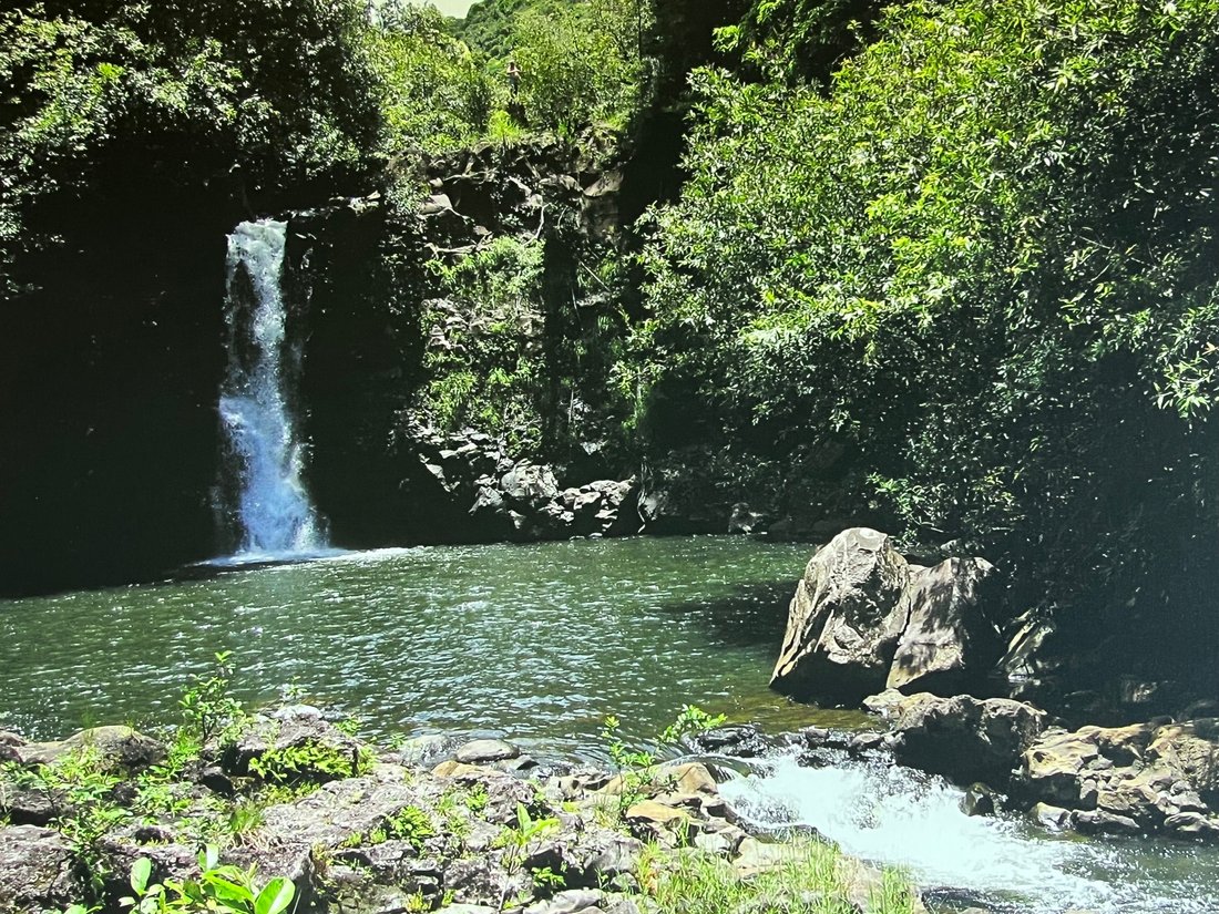 Land in Waimea, Hawaii, United States 4 - 17874688