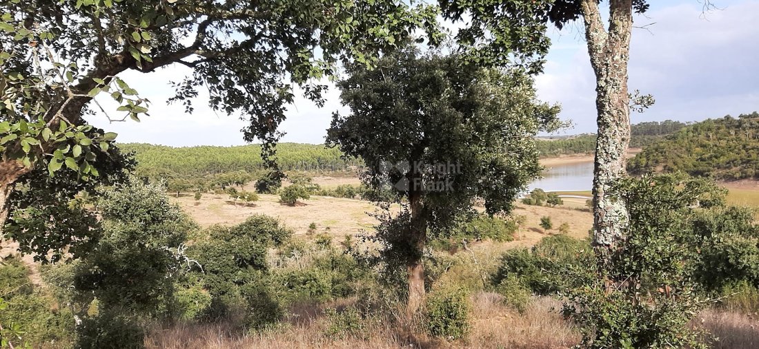 Estate in Ermidas do Sado, Setubal, Portugal 5 - 17873851