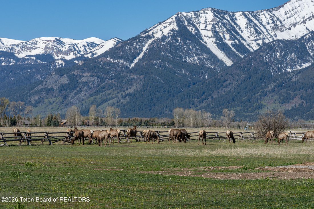 House in Jackson, Wyoming, United States 4 - 17825367