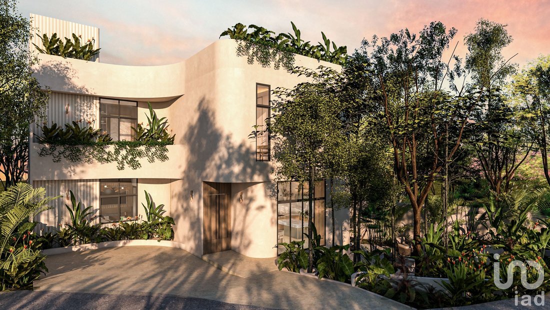 House in El Cedral, Quintana Roo, Mexico 1 - 17873419