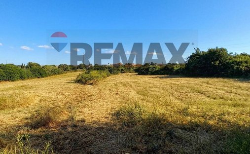 Land in Verbesserung, Anzio, Italien 1