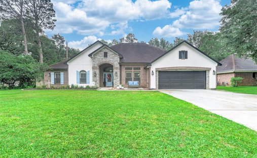 House in Alvin, Texas, United States 1