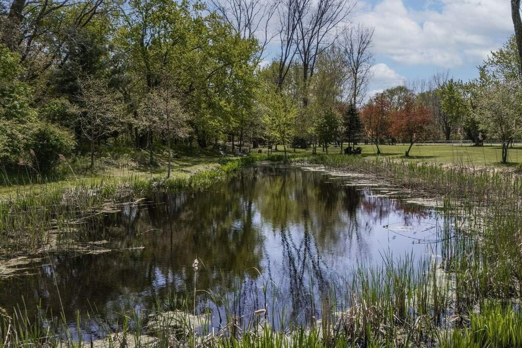 Farm Ranch in Sawyer, Michigan, United States 5 - 17878114