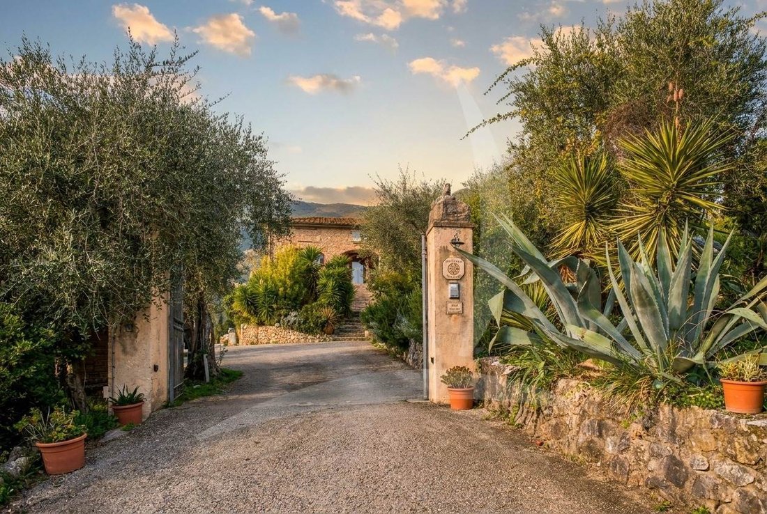 Camaiore, Tuscany, Italy 5 - 15478595