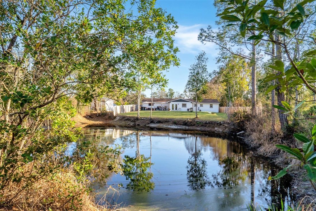 House in Eustis, Florida, United States 2 - 17875216