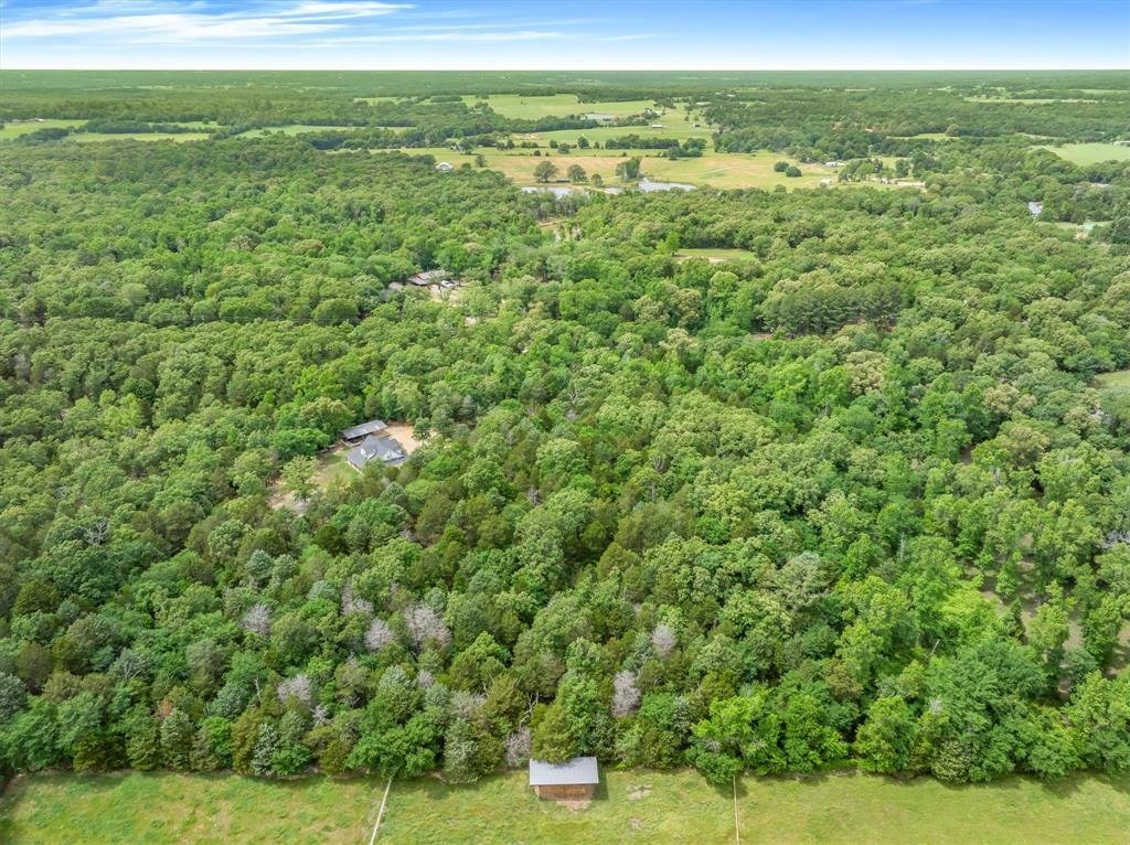 House in Canton, Texas, United States 3 - 17872380