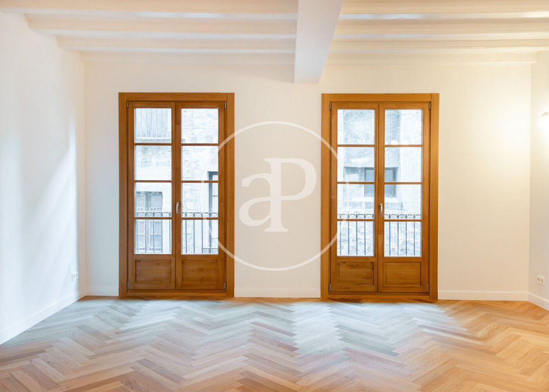 Apartment in Ciutat Vella, Barcelona, Spain 2 - 17878970