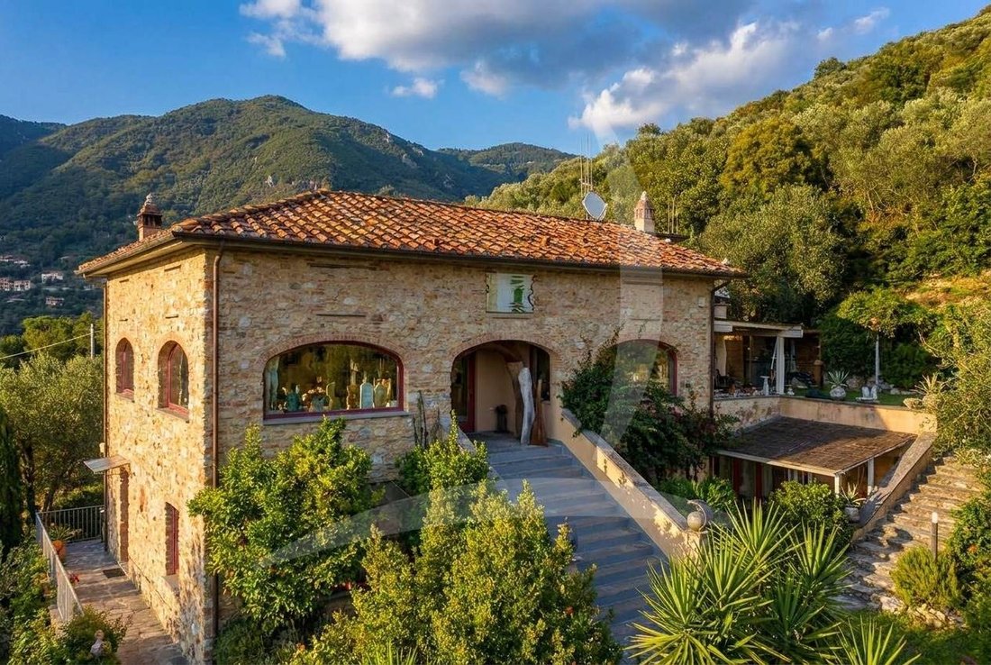 Camaiore, Tuscany, Italy 1 - 15478595