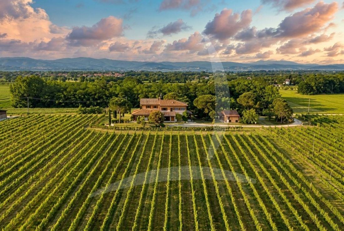 Farm Ranch in Castiglione del Lago, Umbria, Italy 1 - 13150047