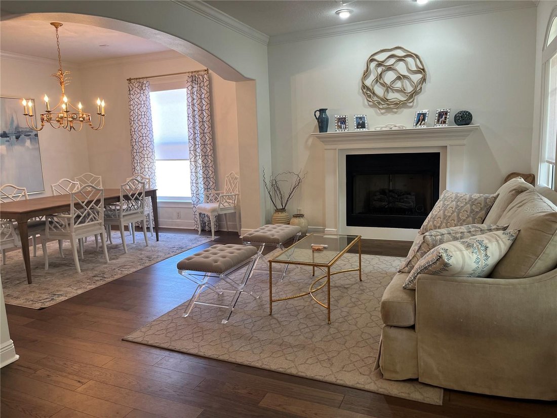 House in Tampa, Florida, United States 4 - 17872147
