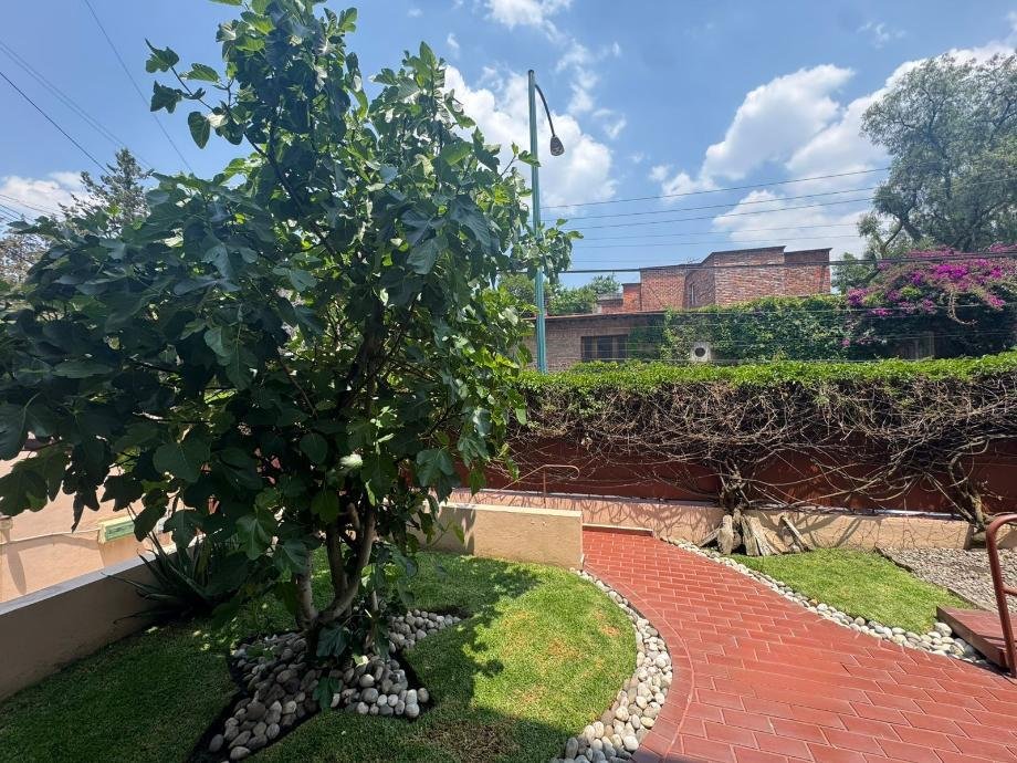 House in Mexico City, Mexico 5 - 17873486