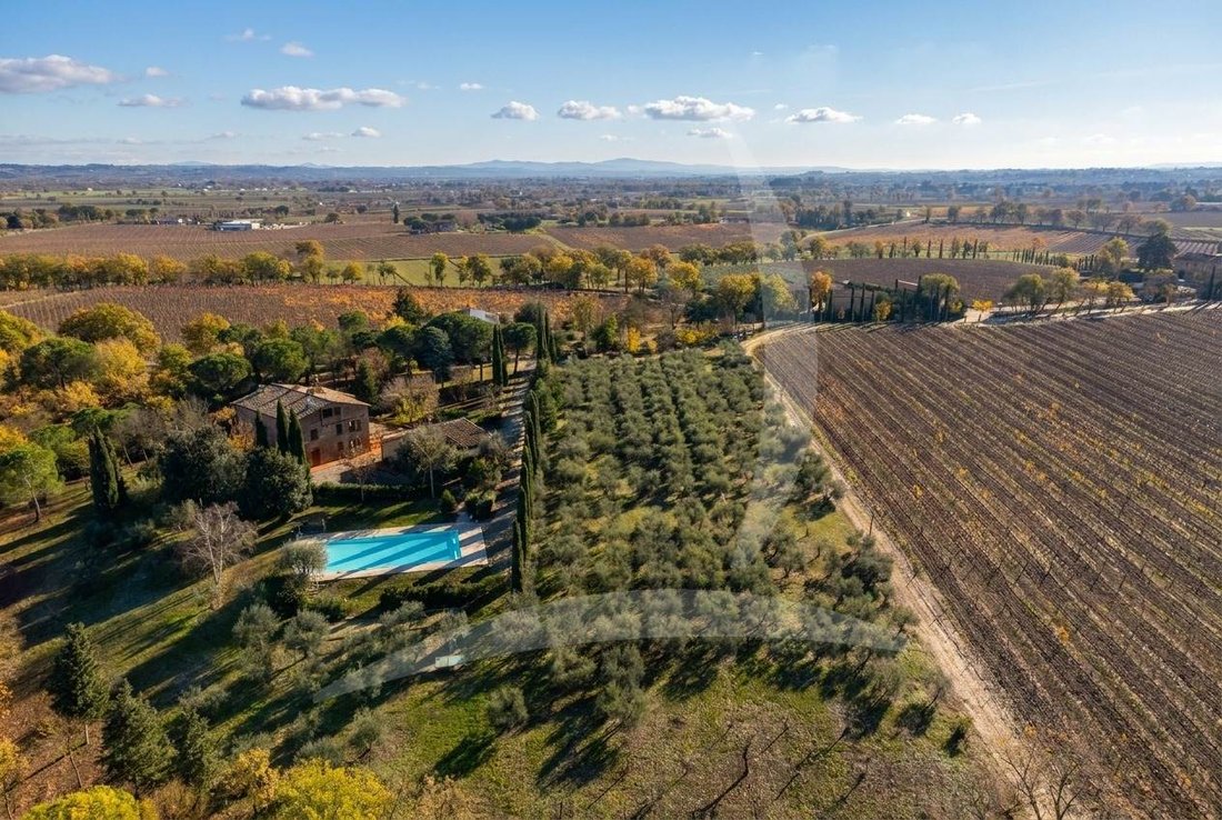 Farm Ranch in Montepulciano, Tuscany, Italy 3 - 12378214