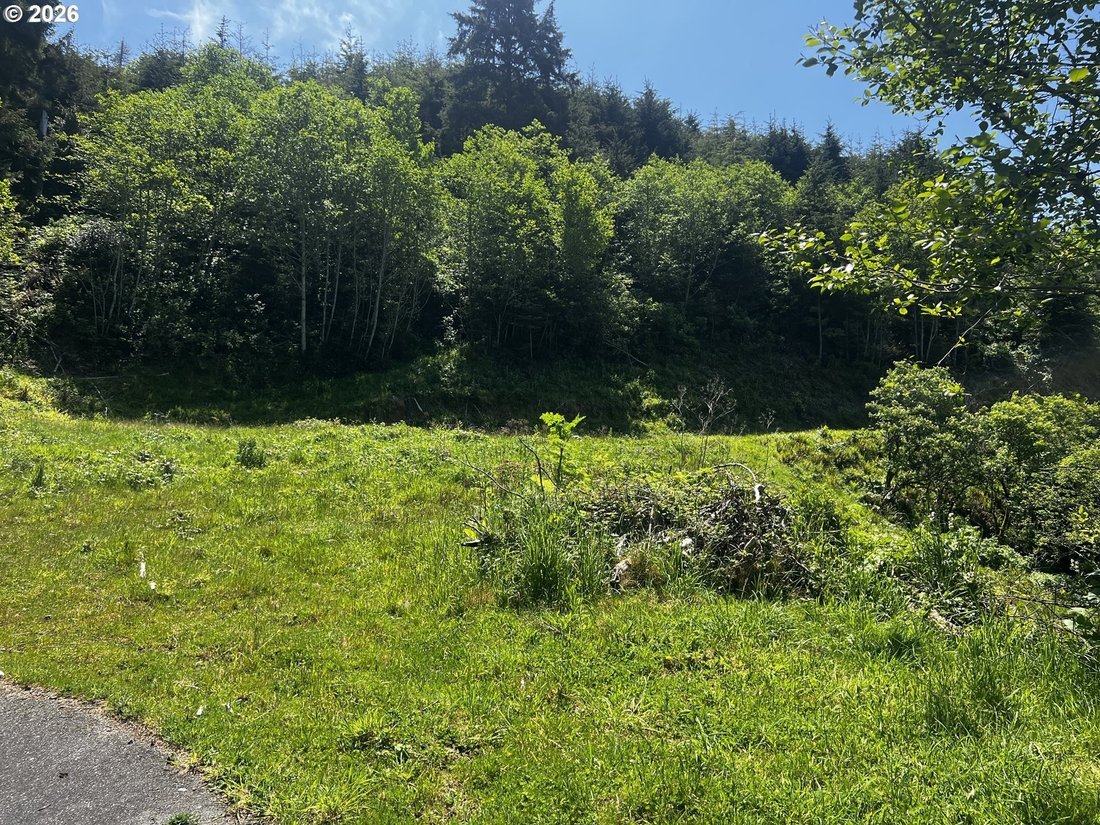 Land in Gold Beach, Oregon, United States 3 - 17874374