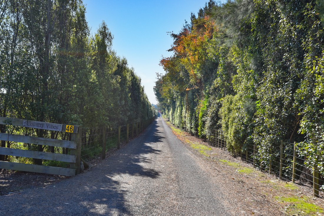 Farm Ranch in Rotorua, Bay of Plenty, New Zealand 3 - 17886494