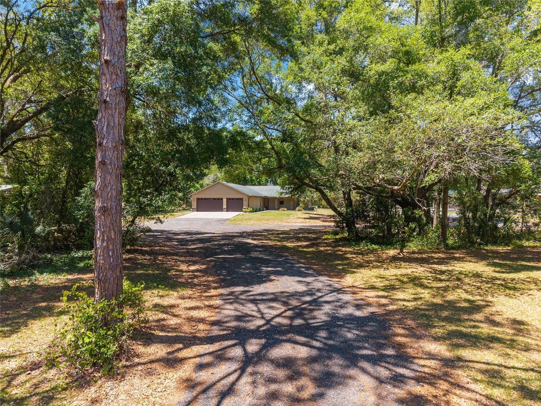 House in Chiefland, Florida, United States 5 - 17884948