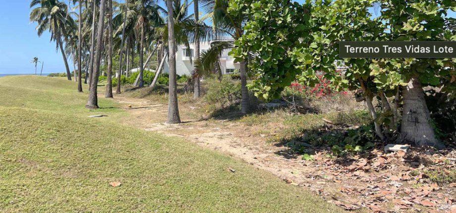 Land in Acapulco, Guerrero, Mexico 4 - 17873324