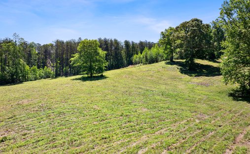 Terreno a Newnan, Georgia, Stati Uniti 1
