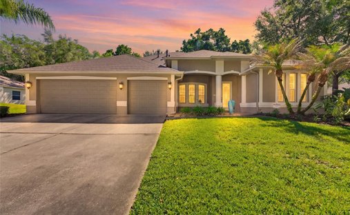 House in Riverview, Florida, United States 1