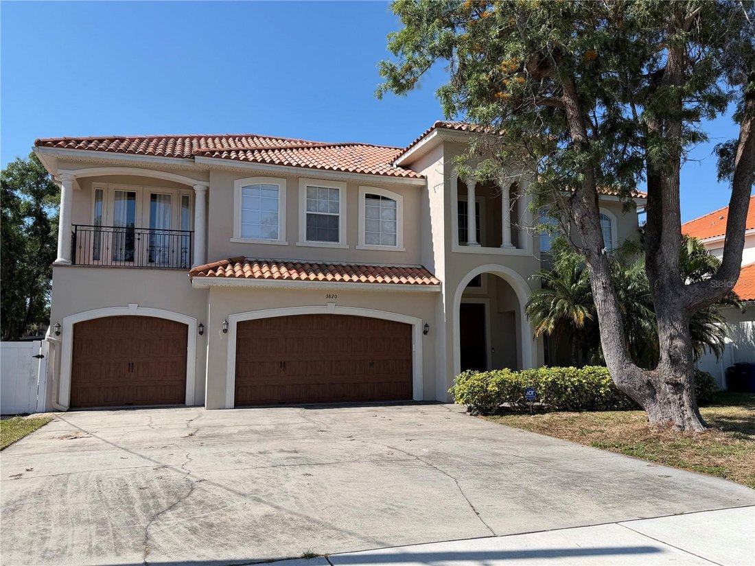 House in Tampa, Florida, United States 1 - 17872147