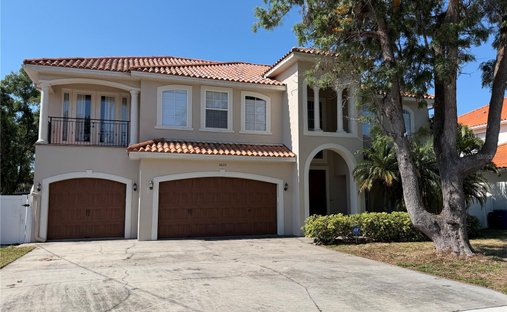 House in Tampa, Florida, United States 1