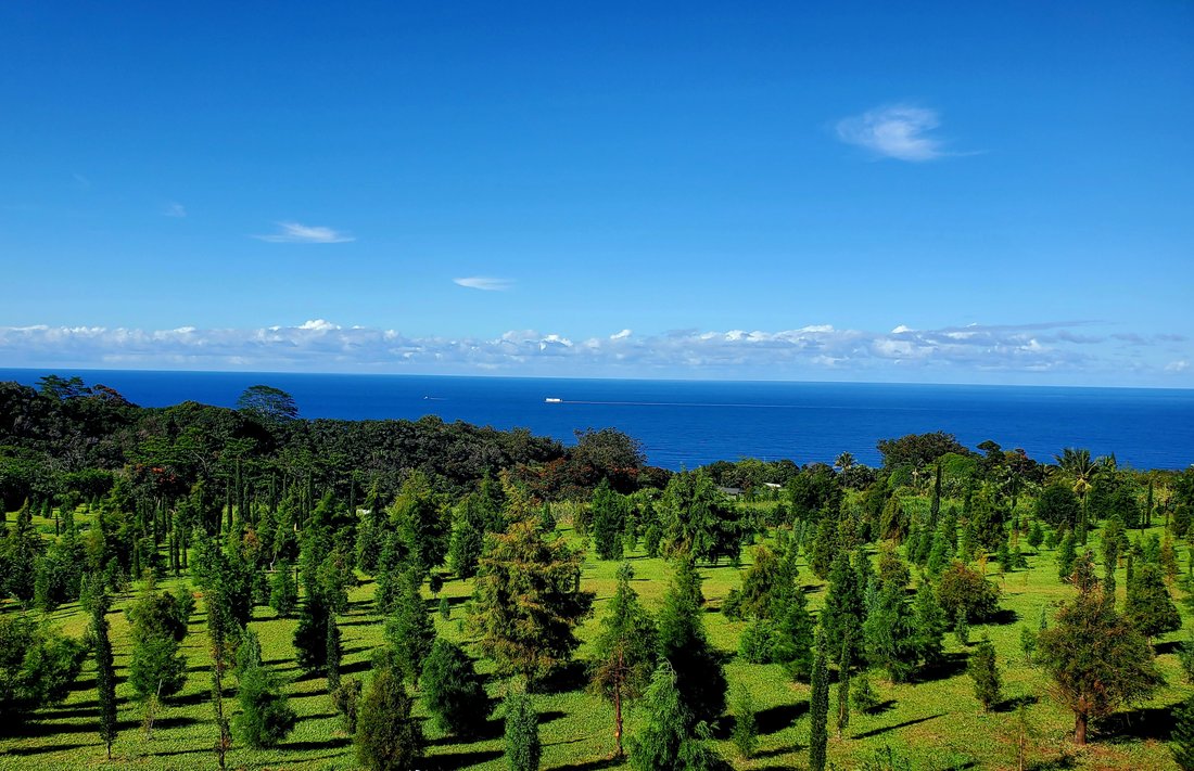 Land in Waimea, Hawaii, United States 1 - 17874688