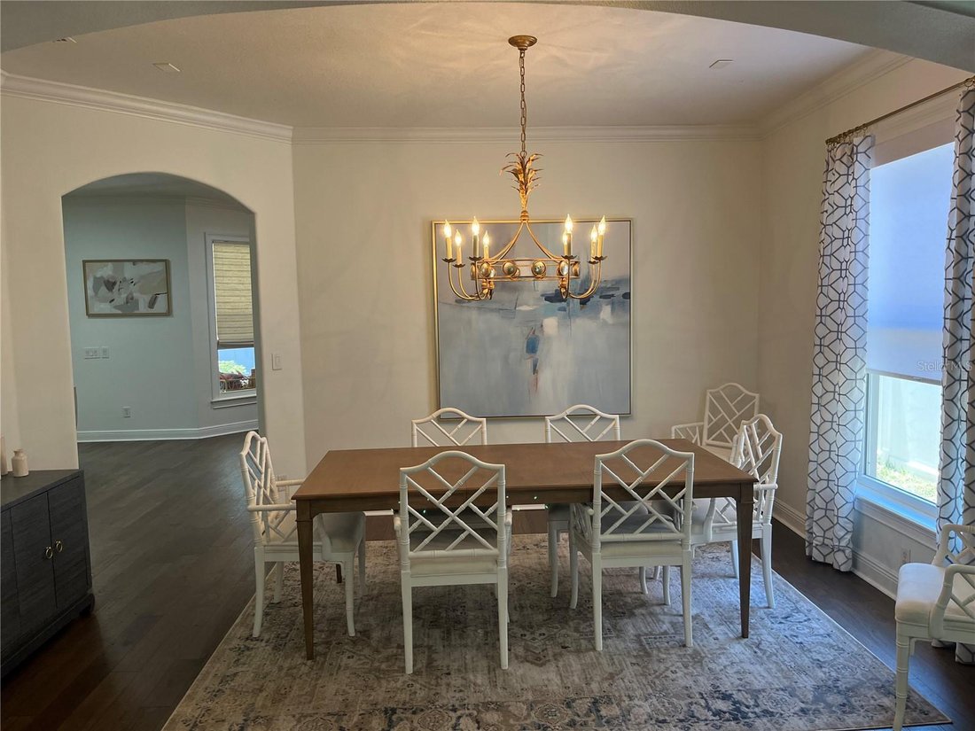 House in Tampa, Florida, United States 5 - 17872147
