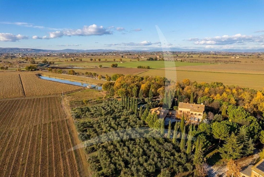 Farm Ranch in Montepulciano, Tuscany, Italy 4 - 12378214