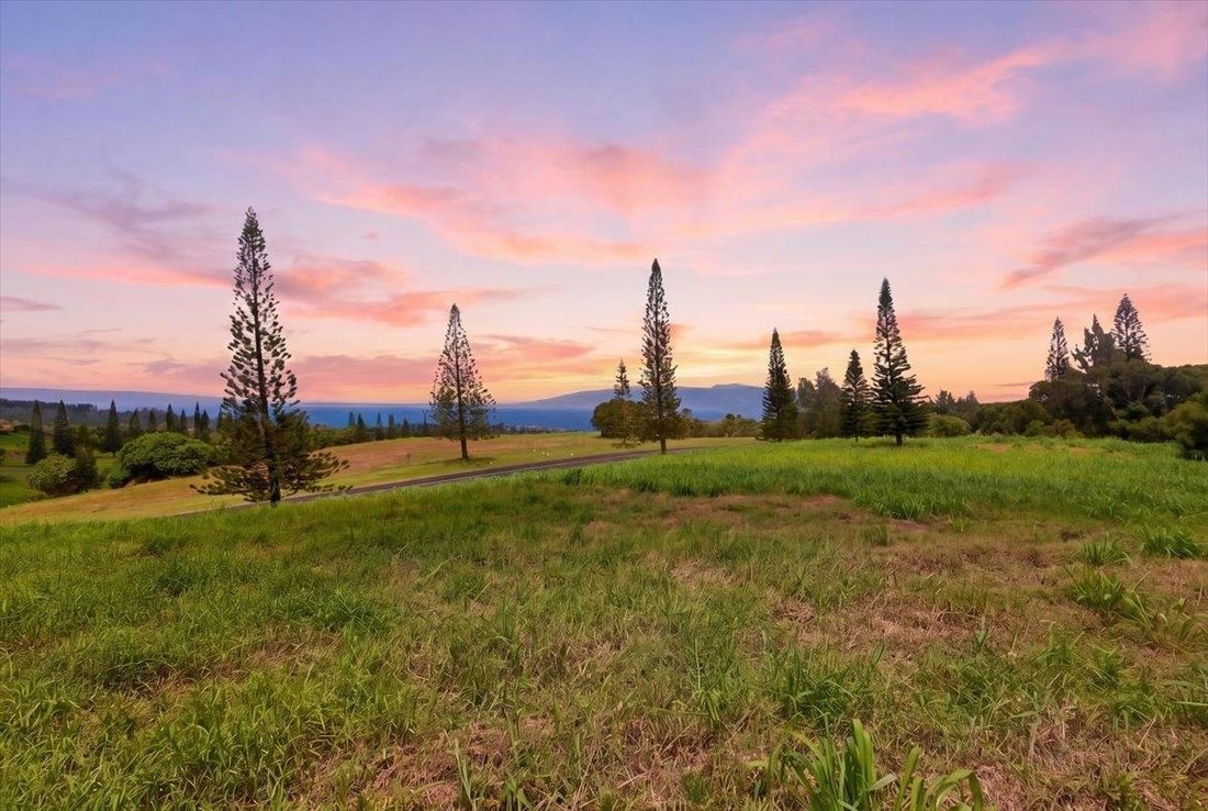 Land in Lahaina, Hawaii, United States 5 - 17886608
