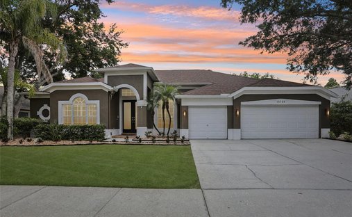 House in Odessa, Florida, United States 1