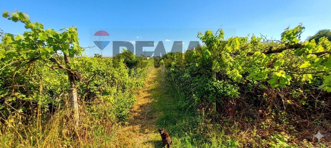 Land in Improvement, Anzio, Italy 5 - 17883459
