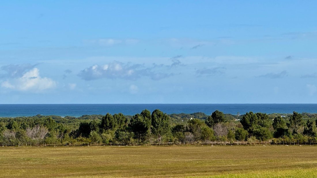 Farm Ranch in Franskraal, Western Cape, South Africa 3 - 17874185