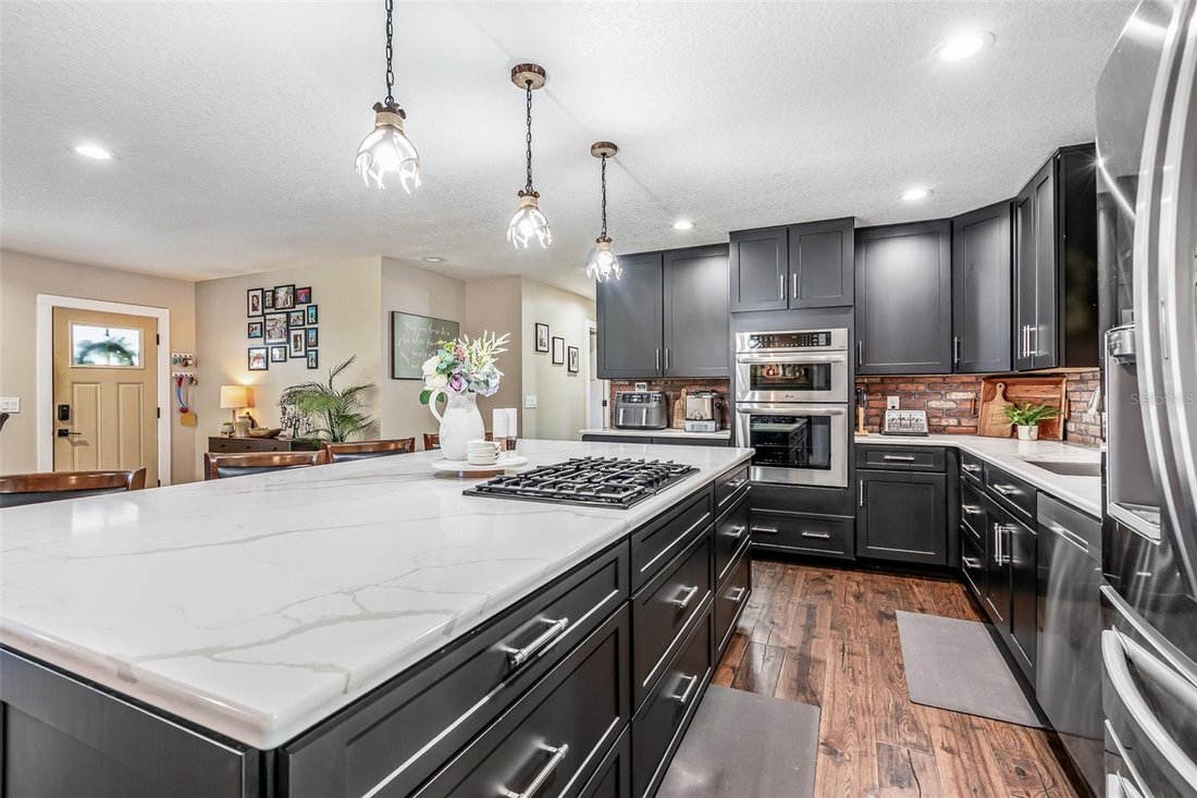 House in Eustis, Florida, United States 5 - 17875216