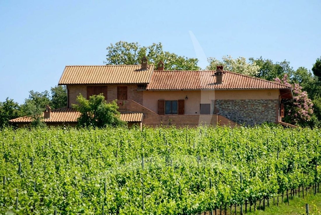 Farm Ranch in Castiglione del Lago, Umbria, Italy 4 - 13150047