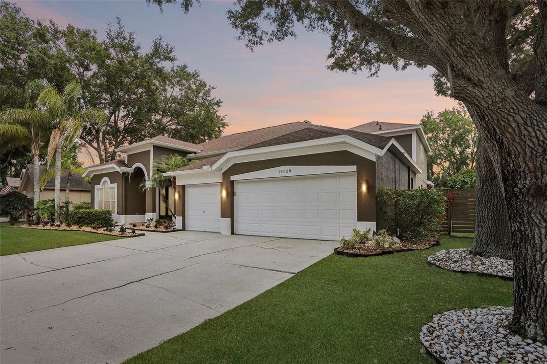 House in Odessa, Florida, United States 4 - 17872218