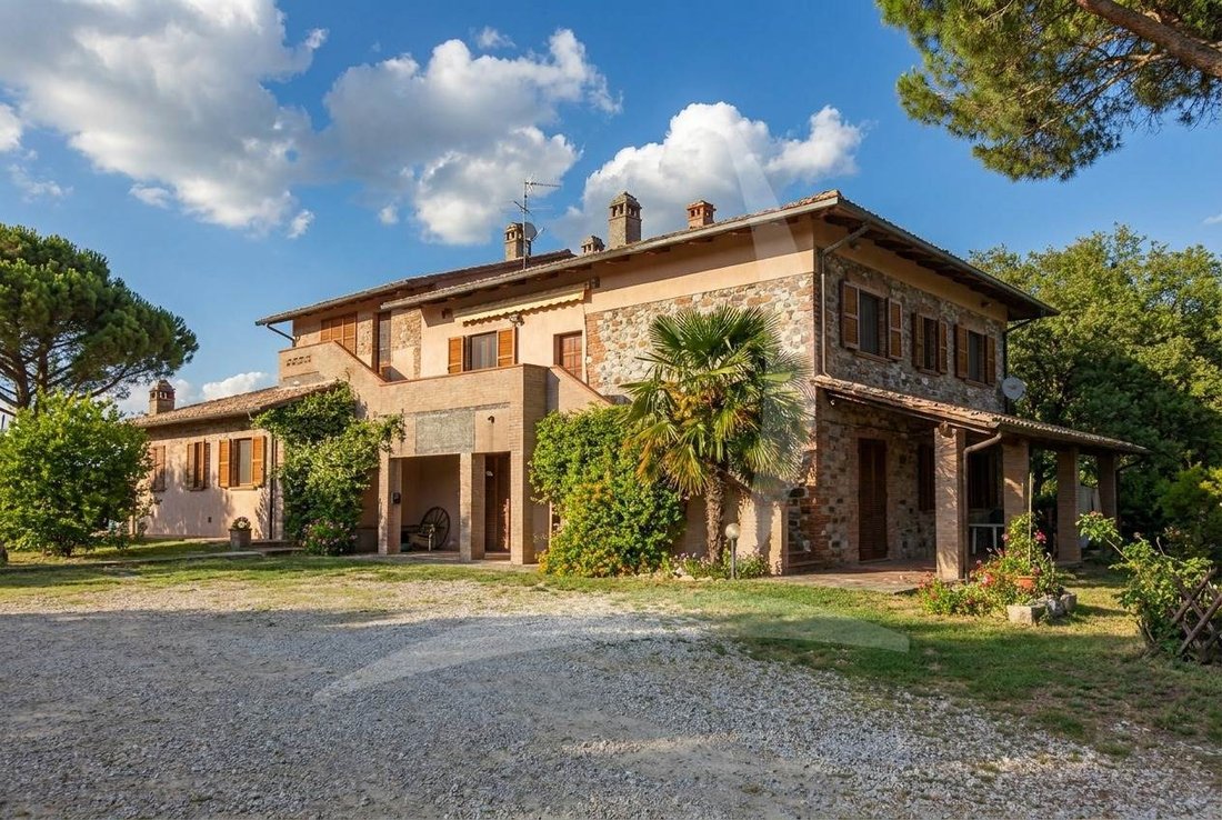 Farm Ranch in Castiglione del Lago, Umbria, Italy 3 - 13150047