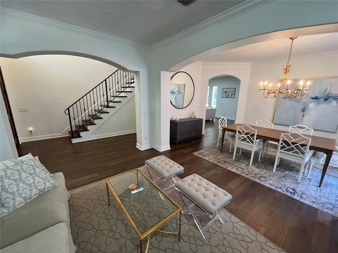 House in Tampa, Florida, United States 3 - 17872147