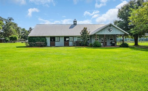 Farm Ranch in Morriston, Florida, United States 1