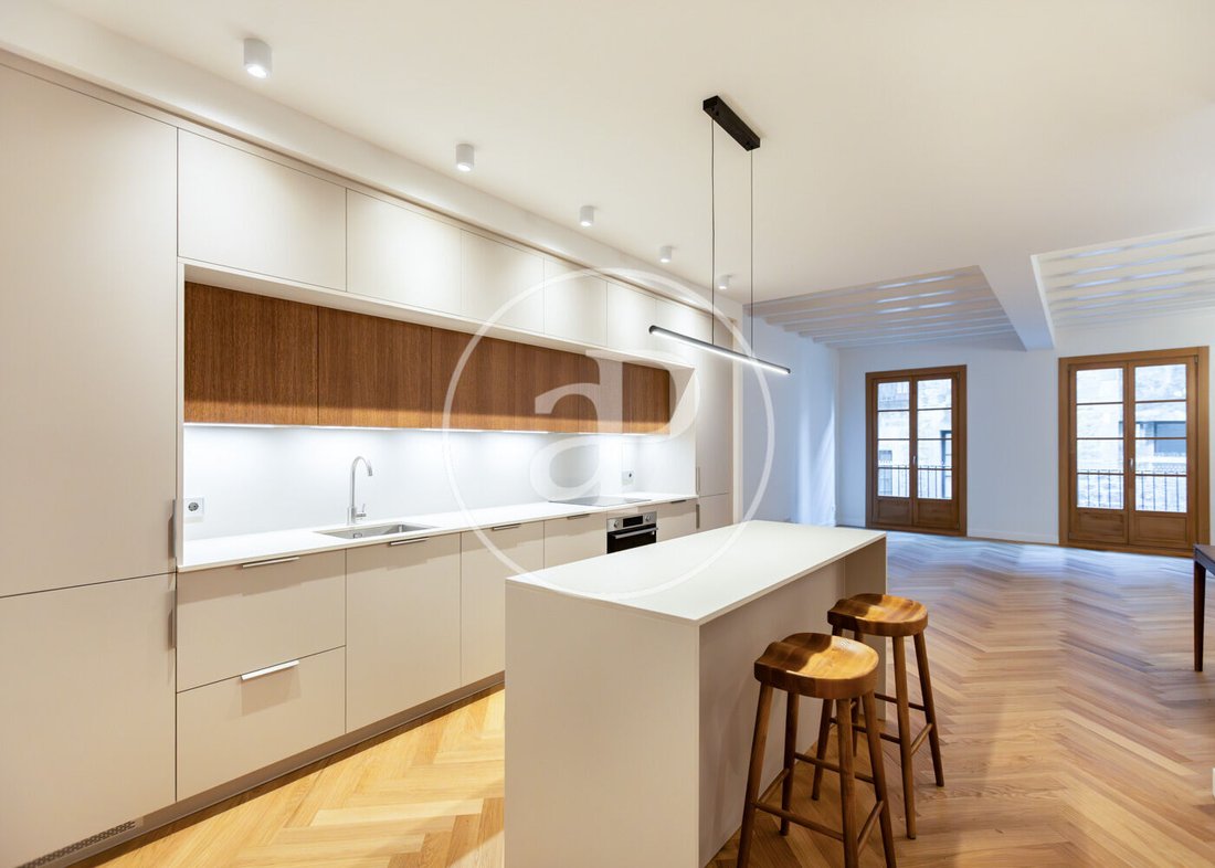 Apartment in Ciutat Vella, Barcelona, Spain 5 - 17878970