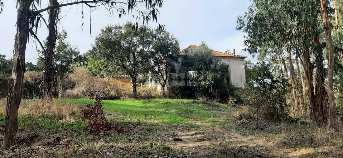 Estate in Ermidas do Sado, Setubal, Portugal 4 - 17873851