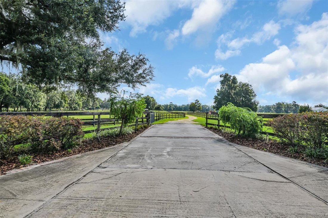 Farm Ranch in Morriston, Florida, United States 2 - 17877230