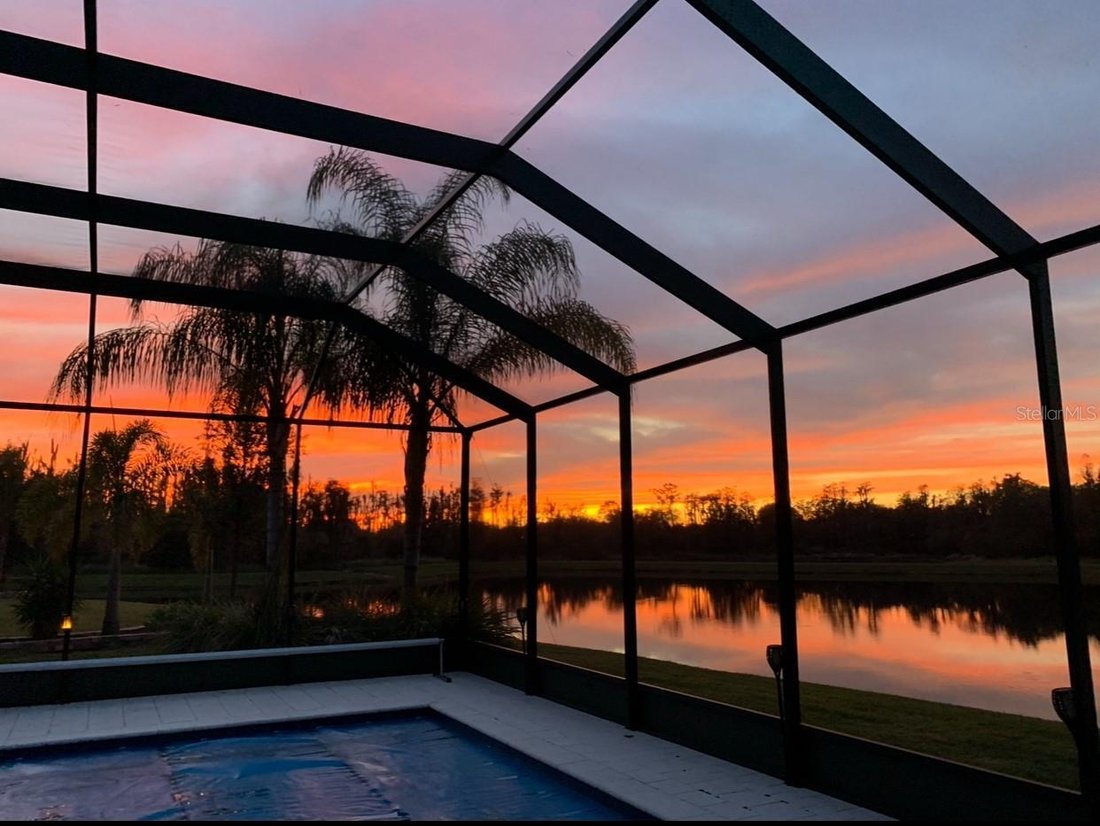 House in Wimauma, Florida, United States 1 - 17604892