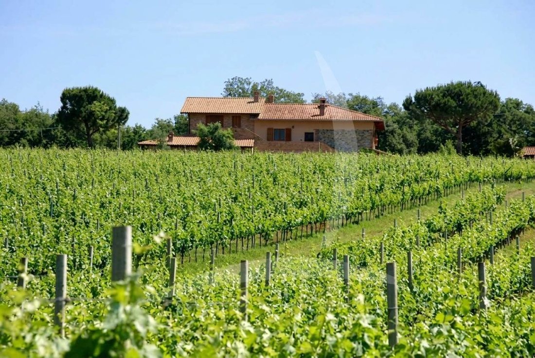 Farm Ranch in Castiglione del Lago, Umbria, Italy 5 - 13150047