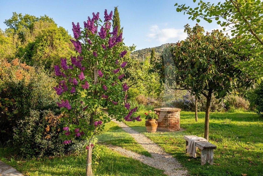 Terontola, Cortona, Tuscany 4 - 13150056
