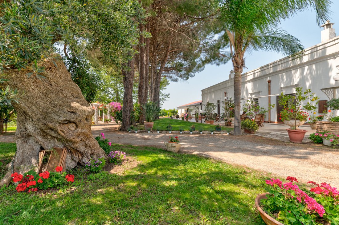 Estate in Ginosa, Apulia, Italy 2 - 17879510