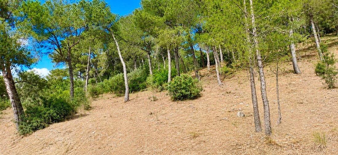 Terreno a Canyamel, Capdepera, Isole Baleari 4 - 17419382