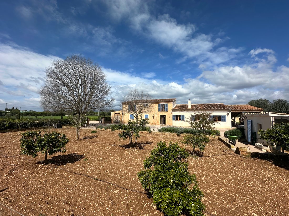 Finca in Binissalem, Balearic Islands, Spain 2 - 17879633