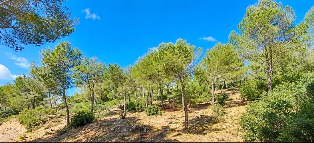 Terreno a Canyamel, Capdepera, Isole Baleari 3 - 17419382