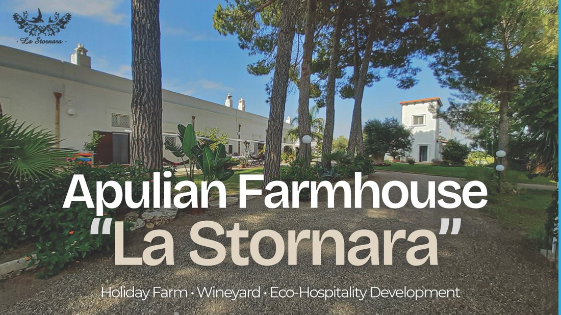 Estate in Ginosa, Apulia, Italy 4 - 17879510
