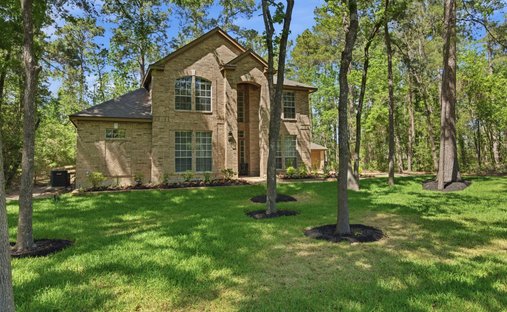 House in Magnolia, Texas, United States 1