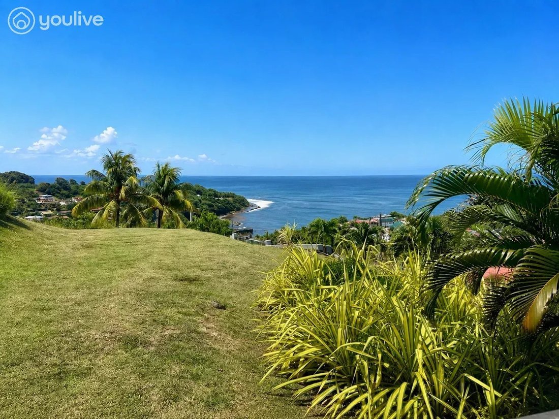 House in Le Marigot, La Trinité, Martinique 1 - 16045124